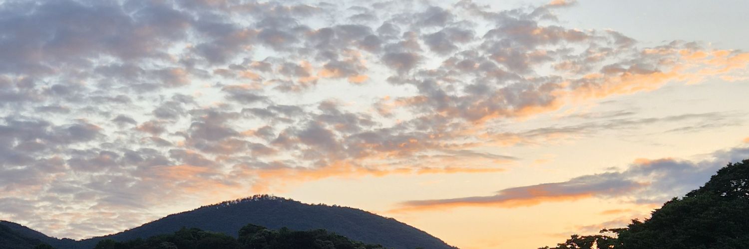 tyrue1's profile banner image