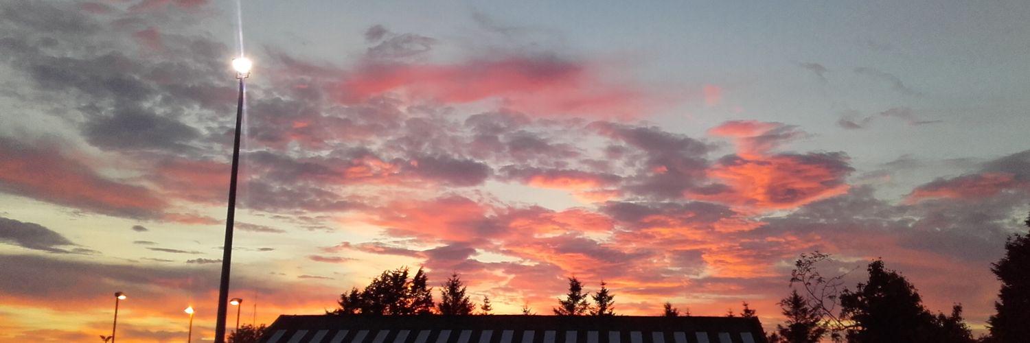 Marsupial Max banner