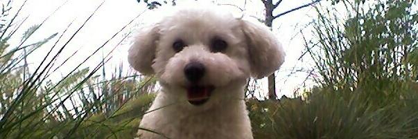 PhillOwens's profile banner image