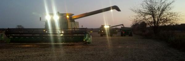 nold77 Profile Banner