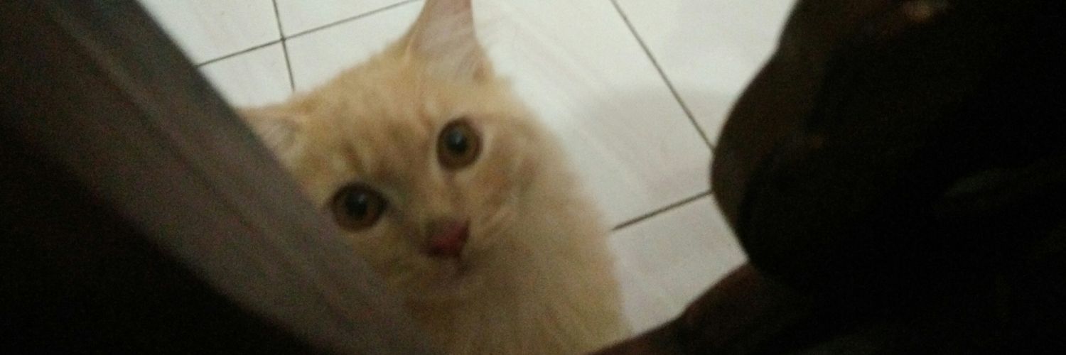Fhiiiaaaa's profile banner image