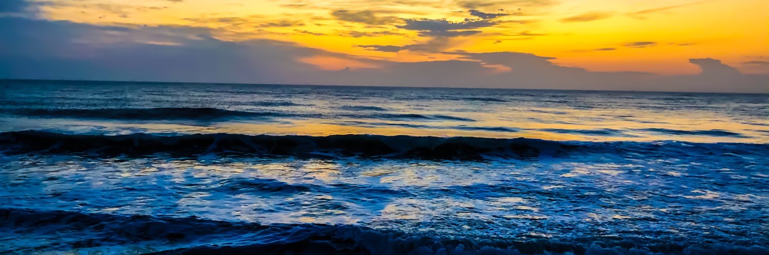 Michael Forster banner