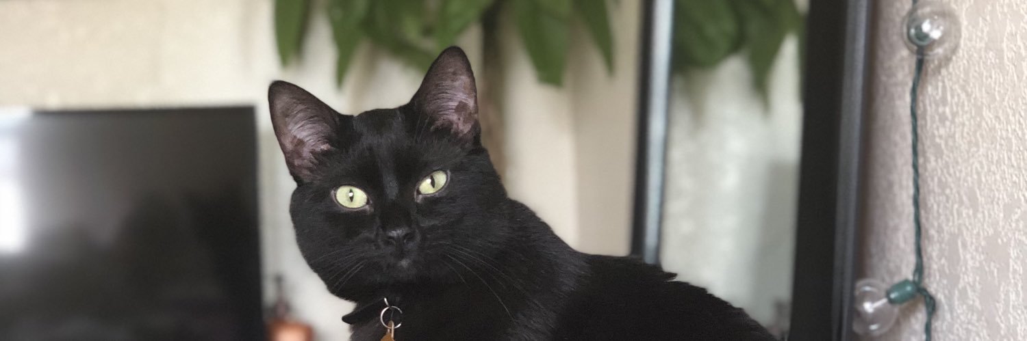 bskibeasty's profile banner image