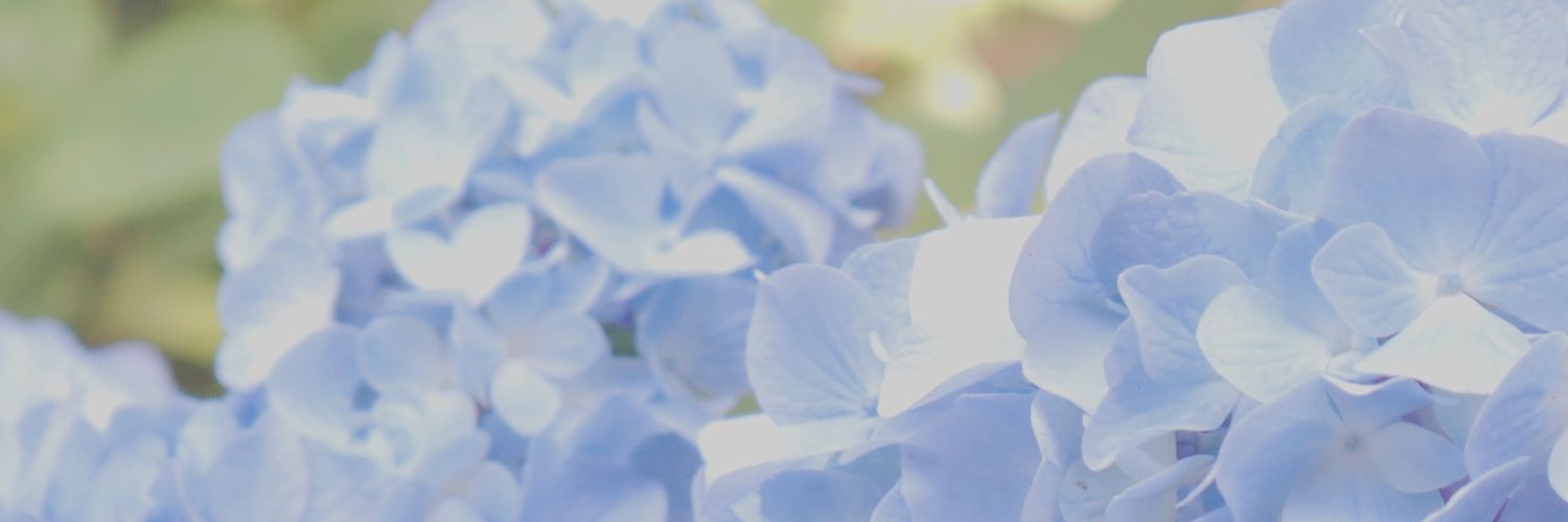 yank_yan_9's profile banner image