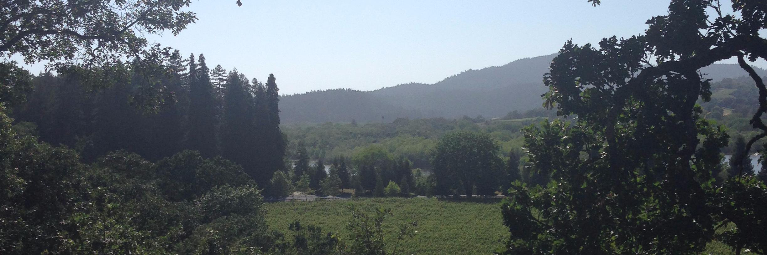 Michael Minor banner