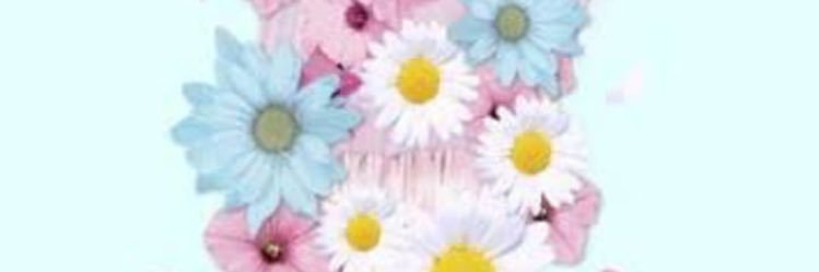 erlinvebriyani's profile banner image