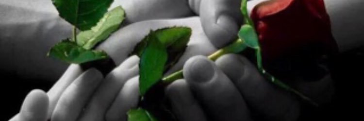 sasno61's profile banner image