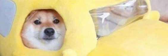 tiltation_'s profile banner image