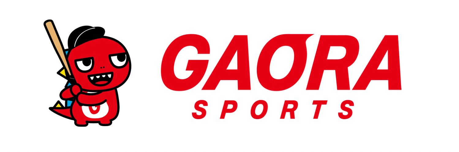 gaora_baseball's profile banner image