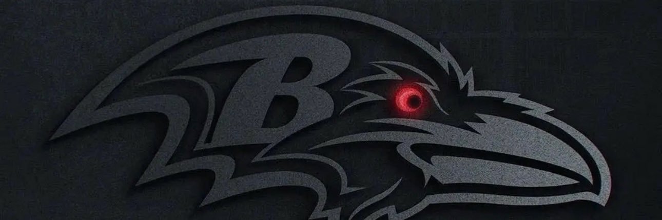 Baltimore Breakers banner