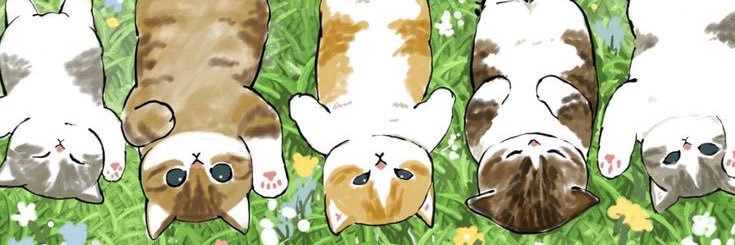 kittenmusk's profile banner image
