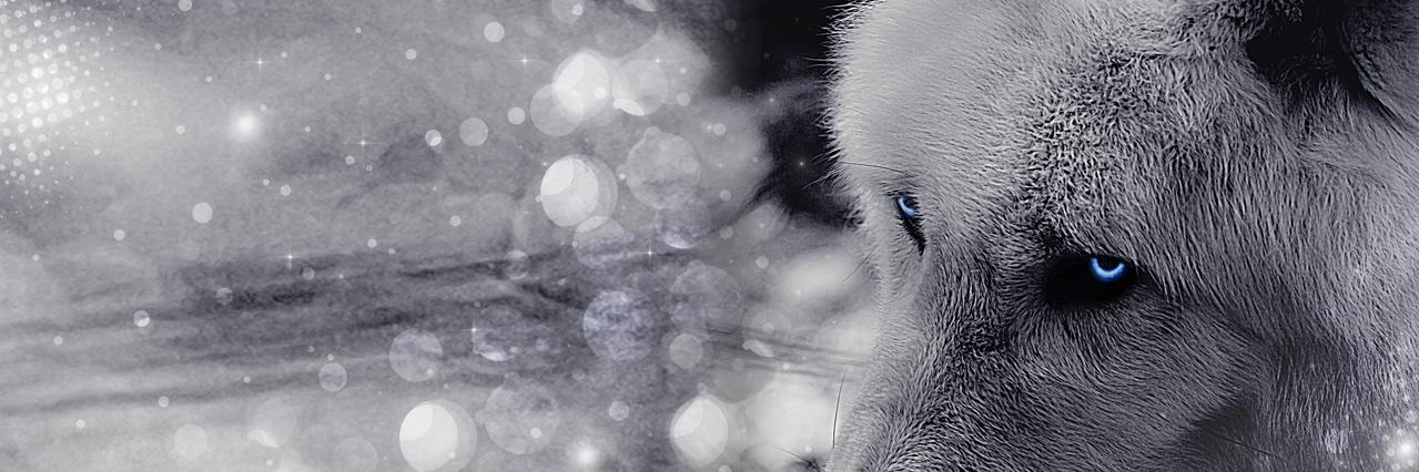 KXCMatt's profile banner image