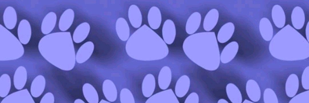 romizapatel's profile banner image
