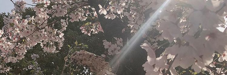 arym_5941's profile banner image