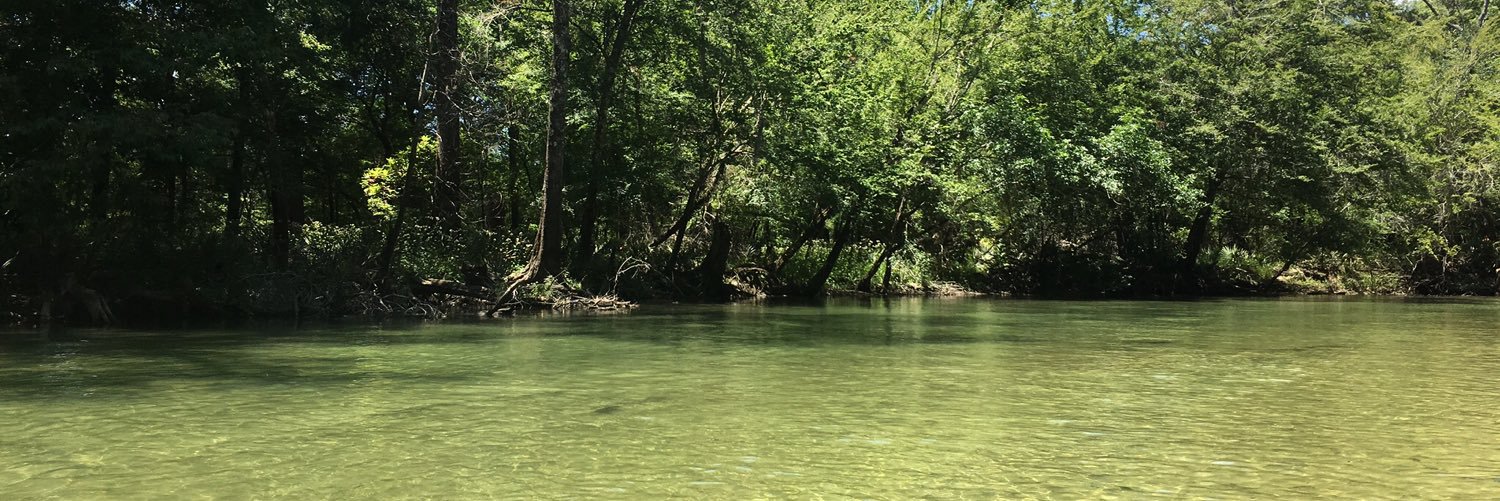 Stephanie MacDonald Clark banner