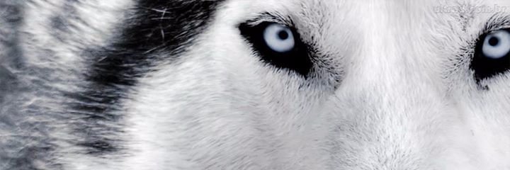 rvsescobar's profile banner image