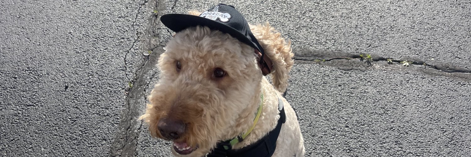 LongLiveMeme🙏🏾 banner