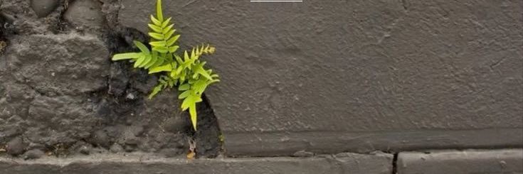 soypaulsanchez's profile banner image