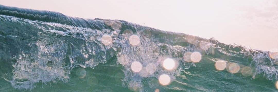 eliseluttrell's profile banner image