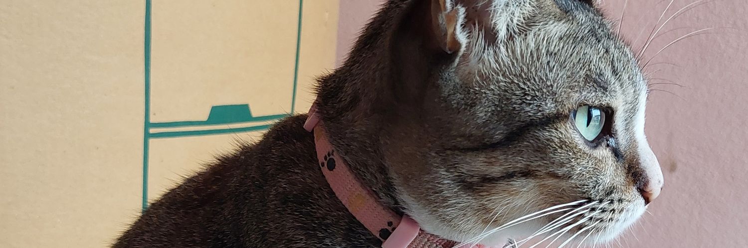 llIIlIIlIIlllI's profile banner image
