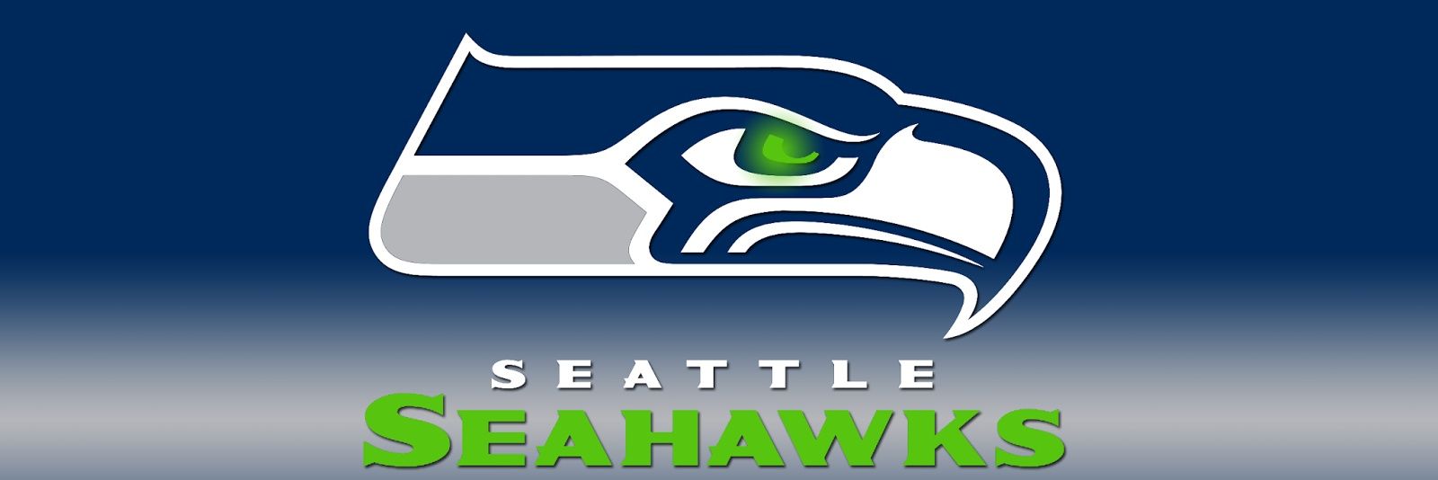 Fan des Seahawks💚💙🏈 banner