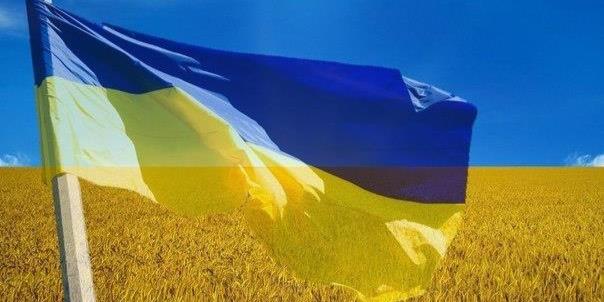 Petro Andryushchenko banner
