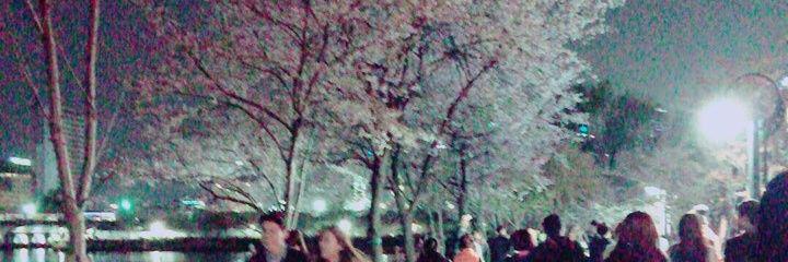 adorable_yys's profile banner image