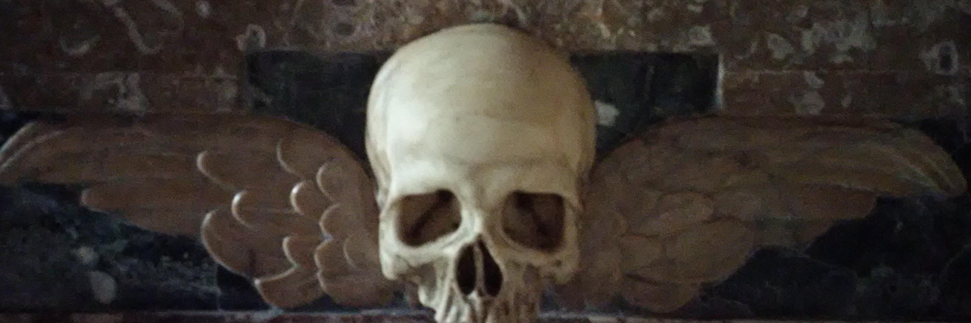 MsMuntean's profile banner image