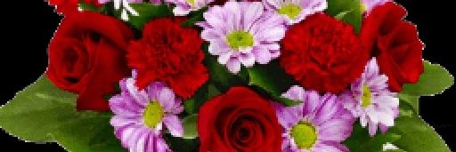 488635ccf7844bc's profile banner image