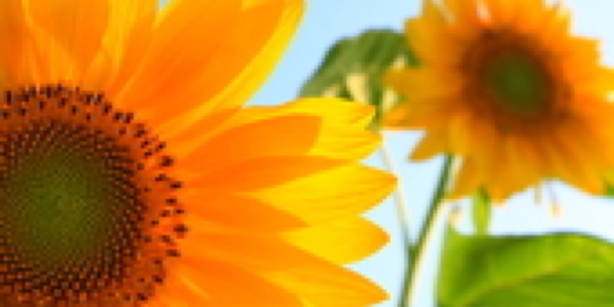 riii74's profile banner image