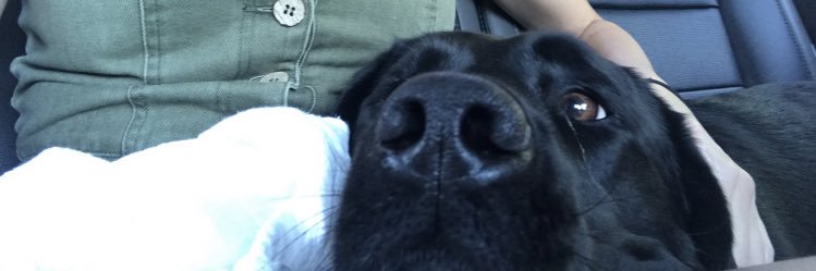 cyd_THEKID_'s profile banner image