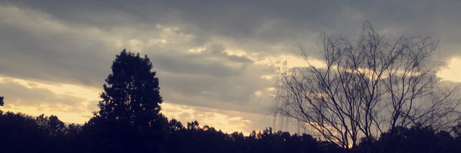 17Semaj_'s profile banner image