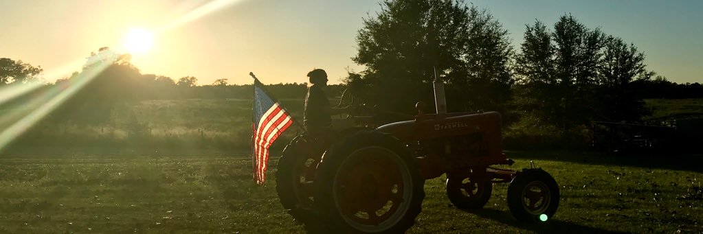 Haley_BThompson's profile banner image
