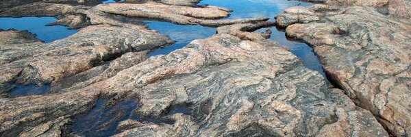 Amanda_Ehrlich Profile Banner