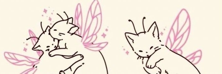 swcetypie's profile banner image