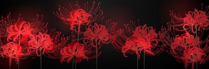 XOSock's profile banner image