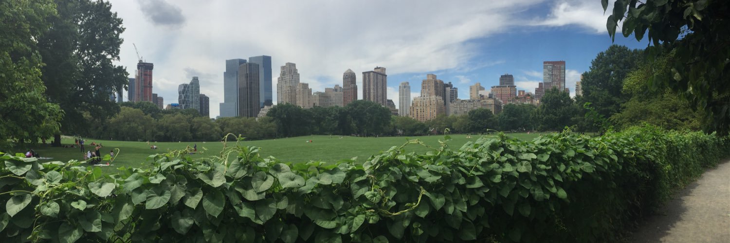 Joe Fedorinchik banner