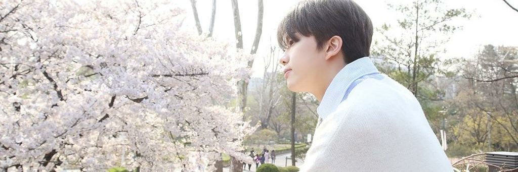 BAPYjaeSHR's profile banner image