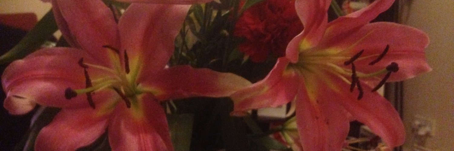 PriscaDike's profile banner image