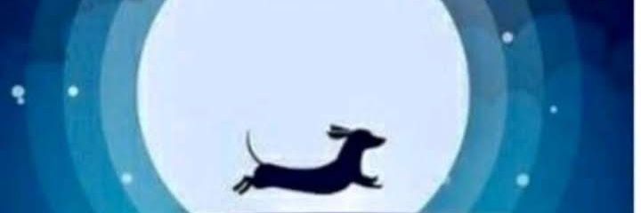 nppaez's profile banner image