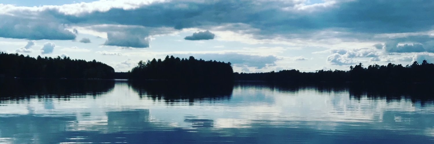 BjViss's profile banner image