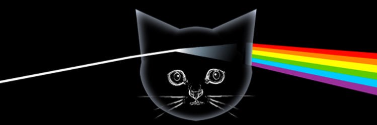 _missmalz's profile banner image