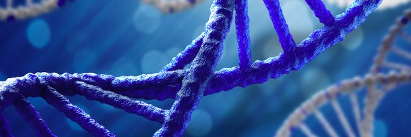 ZiadaAyorech Profile Banner