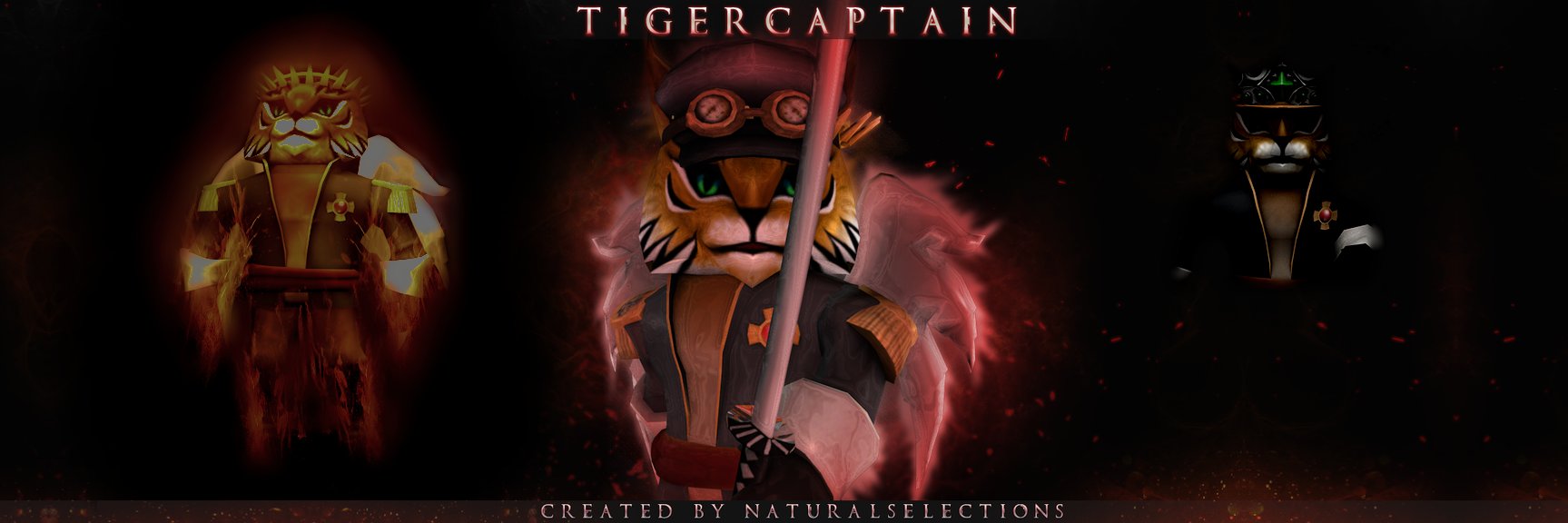 TigerCaptain_'s profile banner image
