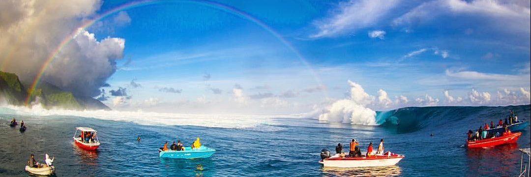 Surfdog banner