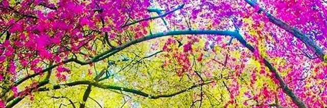 fabi_1091's profile banner image