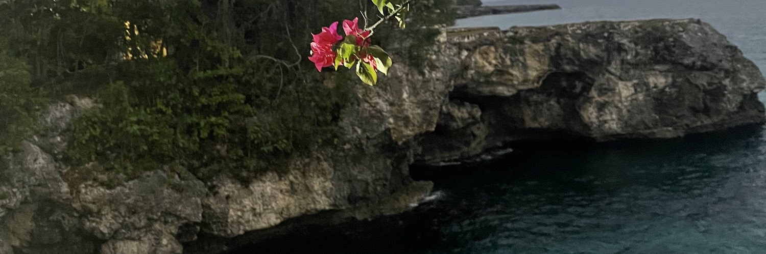 laababyy__'s profile banner image