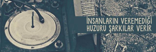 ceydacenb's profile banner image