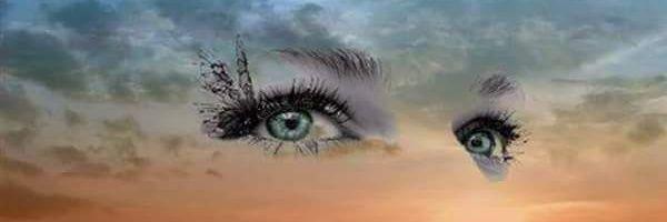 aliabo815's profile banner image