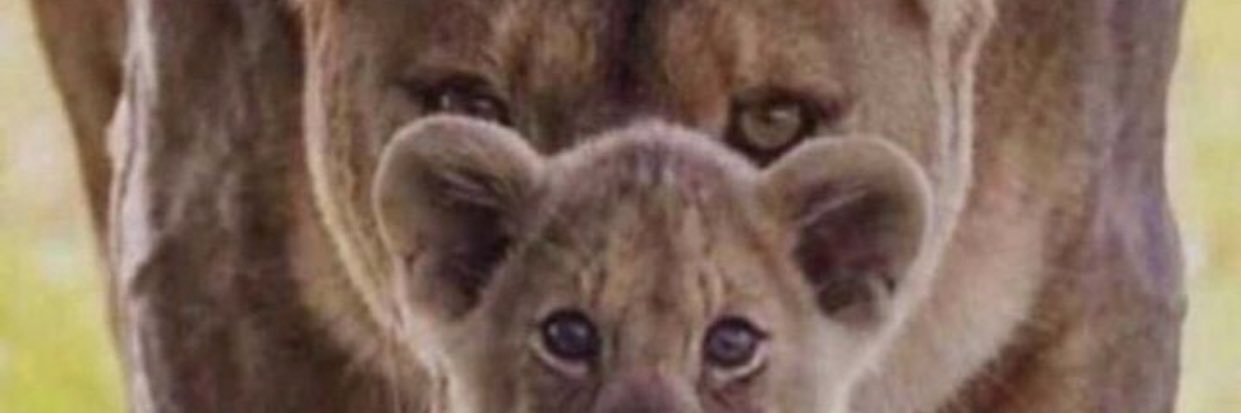 smoood201's profile banner image